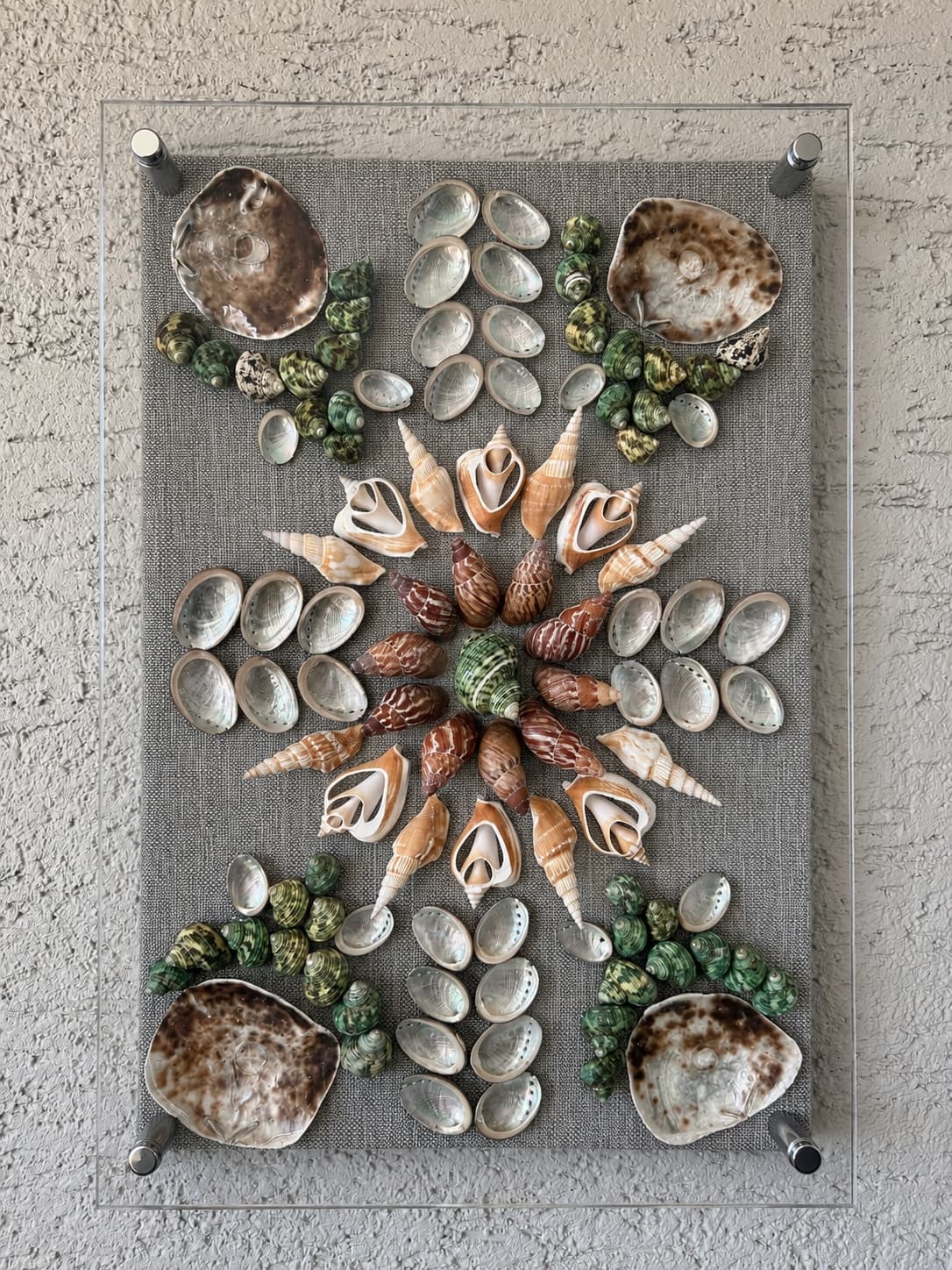 Tidal Garden — Sinem Mercan